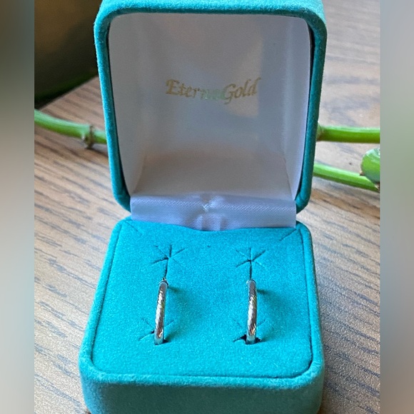 ETERNAGOLD 14K White GOLD Earrings